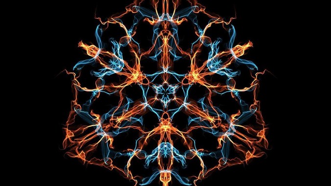 新手养鱼，鱼缸中能放入哪些水草？