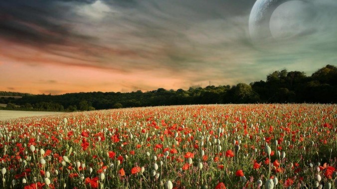 你被哪个后来知道很sb的BUG困扰过一周以上吗?